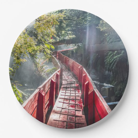 Sonnenschein in den Termas Geometrien, Conaripe, C Pappteller (Vorderseite)