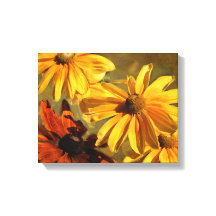 Sonnenschein in meinem Garten Canvas Print