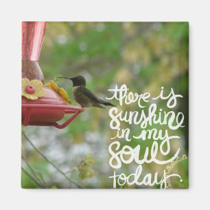 Sonnenschein in meinem Soul Hummingbird Magnet