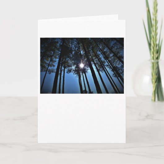 Sonnenschein, Karte (Vorderseite)