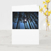 Sonnenschein, Karte (Gelbe Blume)