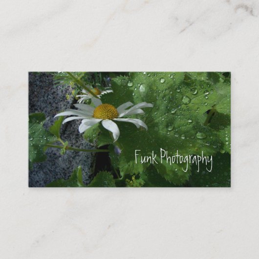 Sonnenschein nach dem Regen Visitenkarte (Vorderseite)