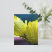 Sonnenschein nach dem Regenfoto Postkarte (Stehend Vorderseite)