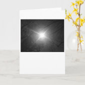 Sonnenschein - Noir, Karte (Gelbe Blume)