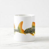 Sonnenschein Pleco Wels-Tasse Kaffeetasse (Mittel)