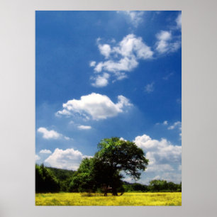 Sonnenschein Poster