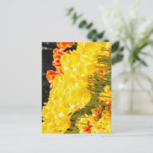 Sonnenschein Postkarte (Stehend Vorderseite)