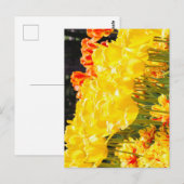 Sonnenschein Postkarte (Vorne/Hinten)