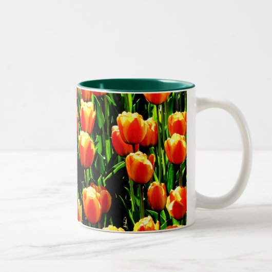 Sonnenschein-Tulpen Zweifarbige Tasse (Rechts)
