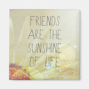 Sonnenschein u. Freundschaft Magnet