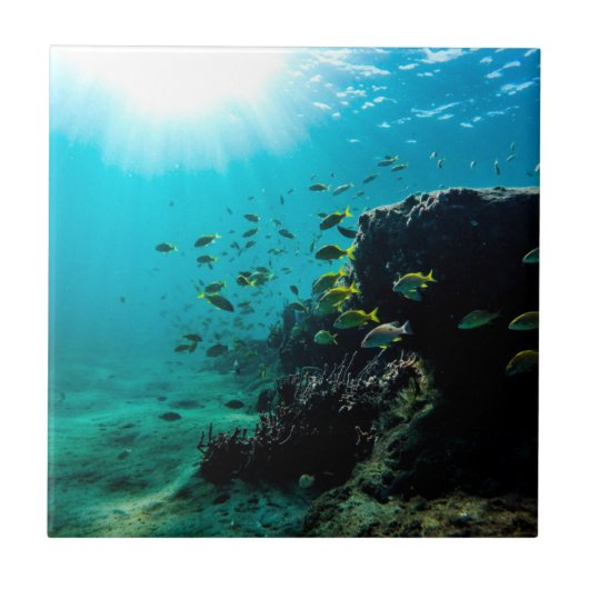 Sonnenschein und tropische Fische Fliese (Vorderseite)