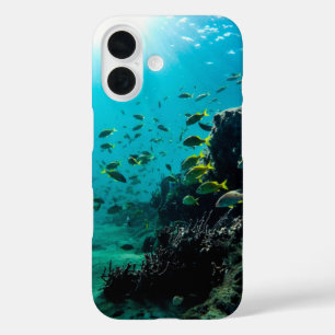 Sonnenschein und tropischer Fisch iPhone 16 Hülle