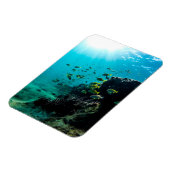 Sonnenschein und tropischer Fisch Magnet (Linke Seite)