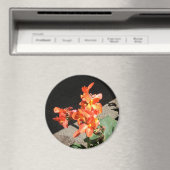 Sonnenscheinende Liebe... Magnet (In Situ (Geschirrspüler))