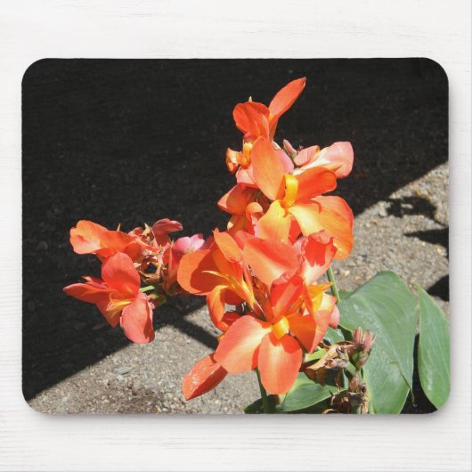 Sonnenscheinende Liebe... Mousepad (Vorne)