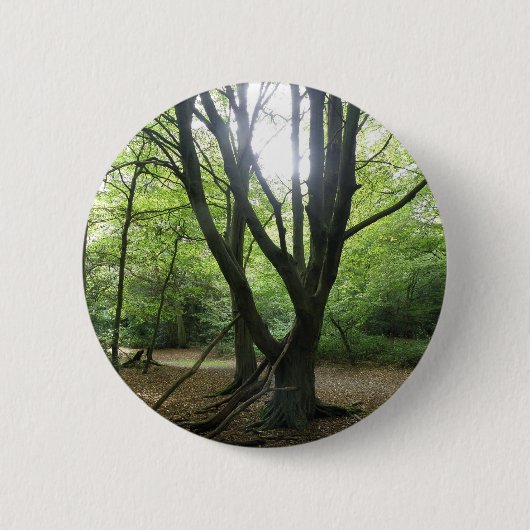 Sonnenscheintaste in Woodland Button (Vorderseite)
