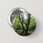 Sonnenscheintaste in Woodland Button (Vorne & Hinten)
