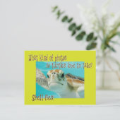 Sonnenschildkröte für Kinder Postkarte (Stehend Vorderseite)