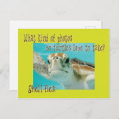 Sonnenschildkröte für Kinder Postkarte (Vorne/Hinten)