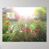 SONNENSCHIRM UND ROSE-Poster Poster (Vorne)