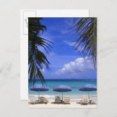 Sonnenschirme am Strand, St. Maarten, Karibik Postkarte (Vorne/Hinten)