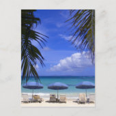 Sonnenschirme am Strand, St. Maarten, Karibik Postkarte (Vorderseite)