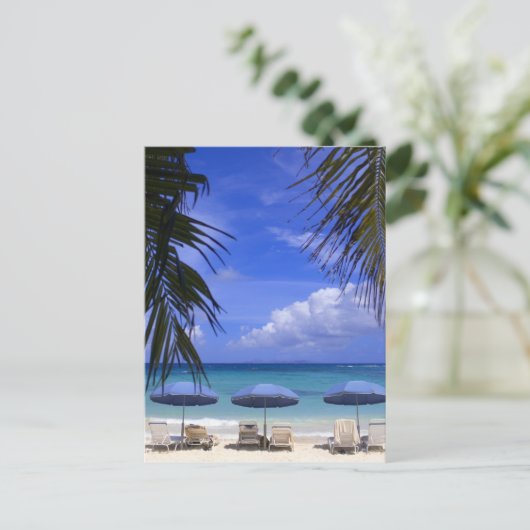 Sonnenschirme am Strand, St. Maarten, Karibik Postkarte (Stehend Vorderseite)