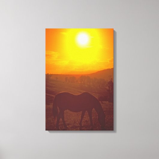 SONNENSCHÖNHEIT 16x24 Leinwanddruck (Vorderseite)