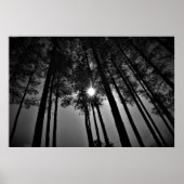 Sonnenschrein, Poster (Vorne)