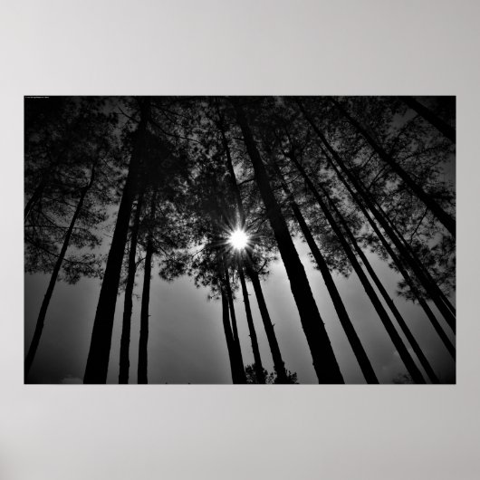 Sonnenschrein, Poster (Vorne)