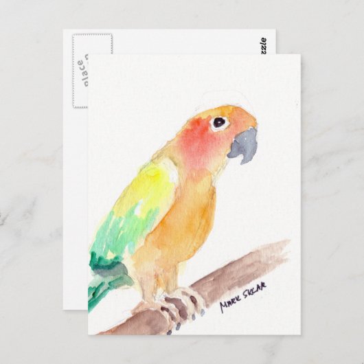 Sonnenschutz2 Postkarte (Vorne/Hinten)