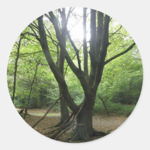 Sonnenschutzmittel aus Holz Runder Aufkleber