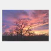 Sonnenschutzpapier — Flachblatt-Set 3 Geschenkpapier Set (Vorderseite)