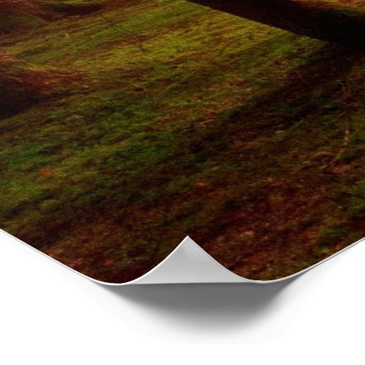 Sonnenschutzwald Poster (Ecke)