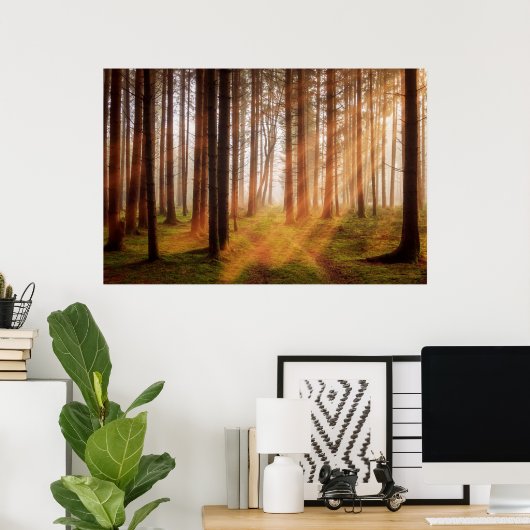 Sonnenschutzwald Poster (Heimbüro)