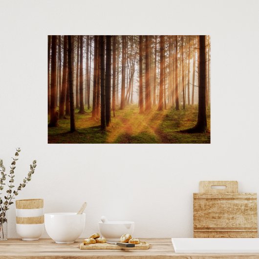 Sonnenschutzwald Poster (Küche)