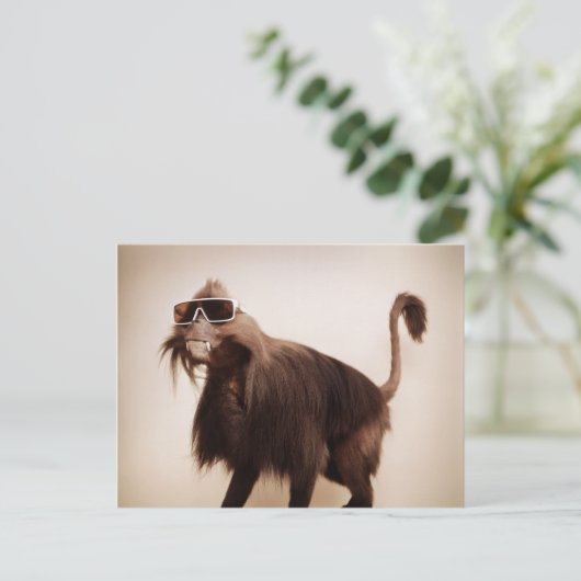 Sonnenseffe Postkarte (Stehend Vorderseite)