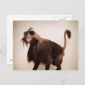 Sonnenseffe Postkarte (Vorne/Hinten)