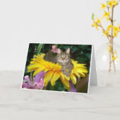 Sonnenseite der Straße Karte (Gelbe Blume)