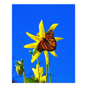 Sonnenseite oben fotodruck