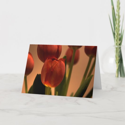 Sonnenstrahl Dankeskarte (Vorderseite)