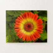 Sonnenstrahl Gerbera | Alzheimer-Denkmal Puzzle (Horizontal)