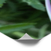 Sonnenstrahl Poster (Ecke)