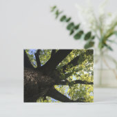 Sonnenstrahl Postkarte (Stehend Vorderseite)