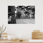 Sonnenstrahlen am japanischen Tempeltor Poster (Küche)