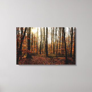 Sonnenstrahlen am Morgen durch den Wald Leinwanddruck