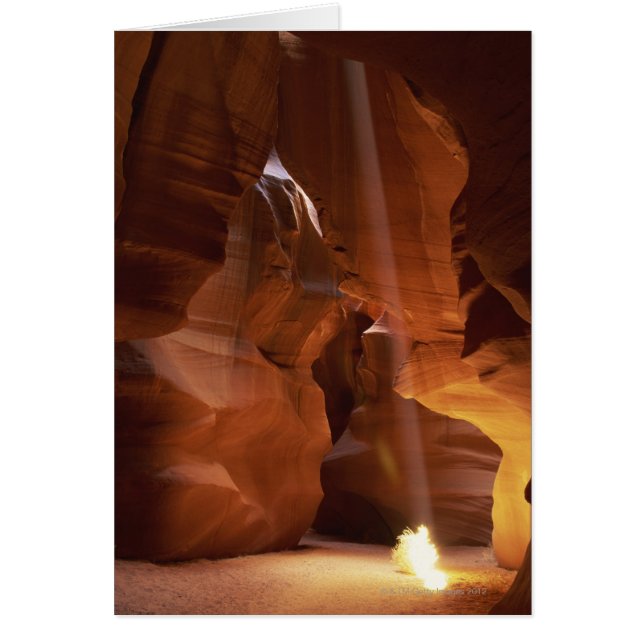 Sonnenstrahlen auf dem Canyon-Boden (Vorne)