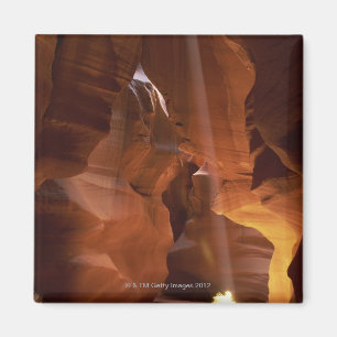 Sonnenstrahlen auf dem Canyon-Boden Magnet