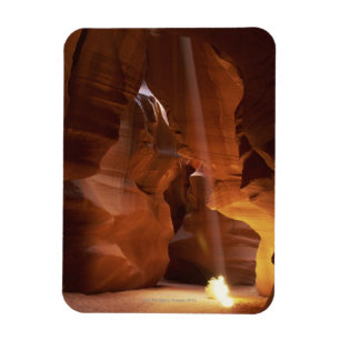 Sonnenstrahlen auf dem Canyon-Boden Magnet
