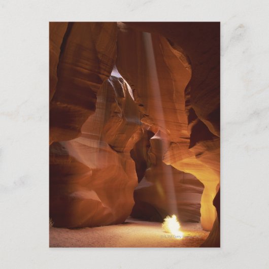 Sonnenstrahlen auf dem Canyon-Boden Postkarte (Vorderseite)